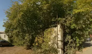 Фотография Дромасс 4